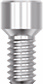 Винт для колпачка CAD/CAM Dentium Screw Abutment Ø 5.5